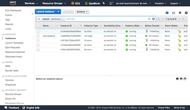 Custom Profile reports to Chef Automate